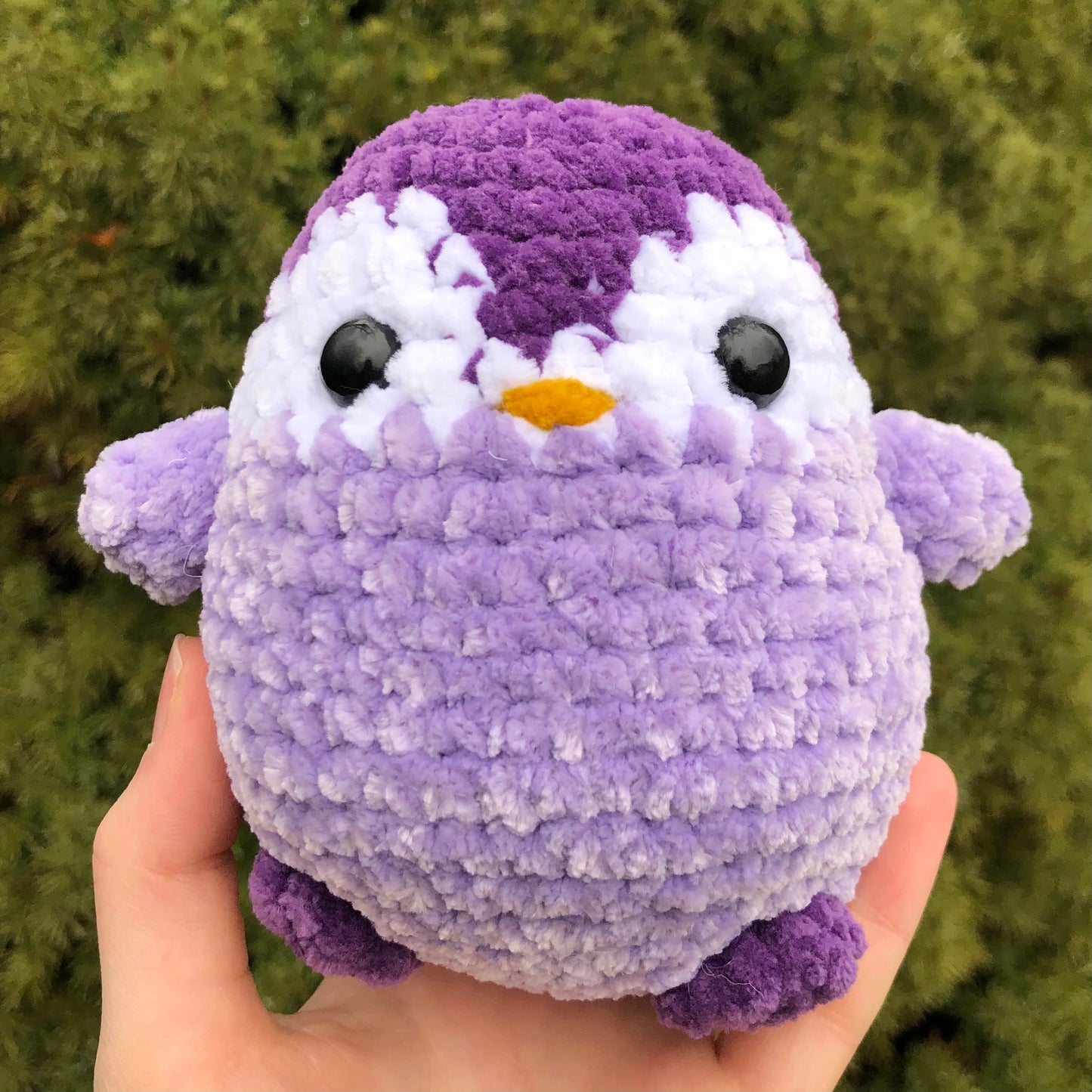 Purple Penguin